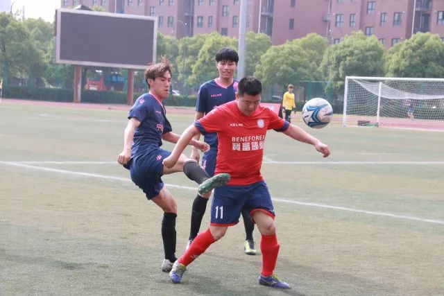 接受微胖，专注于阅读的乐趣
